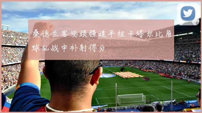 桑德兰客场顽强追平纽卡塔尔比角球乱战中补射得分